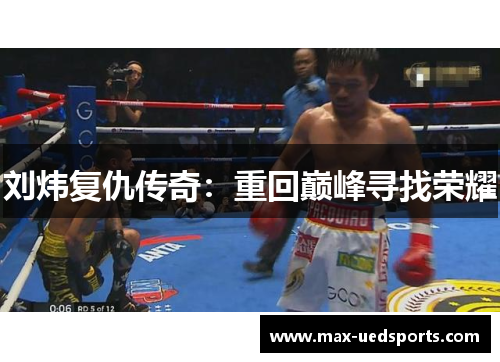 刘炜复仇传奇:重回巅峰寻找荣耀 刘炜复仇传奇:重回巅峰寻找荣耀